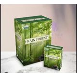 Darshan Geri Akış Tütsü Raın Forest