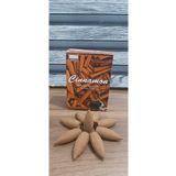 Darshan Incense 10 Adet Geri Akış Tütsü Cinnamon (tarçın) Kokulu