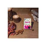 Darshan Incense Magnolia Geri Akış (BACK FLOW) Tütsü 10 Adet