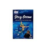 Darshan Incense Okyanus Ocean Kokulu Özel Aromalı Geri Akış Şelale Konik Tütsü 10lu Ocean Perfumed Back Flow Incense Cones
