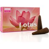 Darshan Lotus Konik Tütsü - Çok Renkli