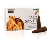 Darshan Palo Santo Konik Tütsü - Çok Renkli