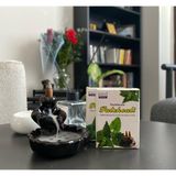 Darshan Patchouli Geri Akış Tütsü - Çok Renkli