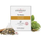 das Stammgast - Autumn Oolong Piramit Poşet Çayı (10'lu Paket) - Bitki Çayı