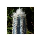 Dashing Look Pilosocereus Leucocephalus Kaktüs Tohumu TH-9154684654700