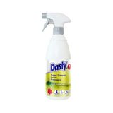 Dasty Duvarlar ve Derzler 700 ml Sprey Temizleyici