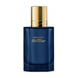 Davidoff Cool Elixir Man Parfum Intense 100 ml Erkek Parfüm
