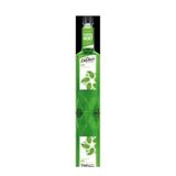 Davinci Gourmet 750 ml Nane Aromalı Şurup