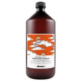Davines Naturaltech Energizing 1000 ml Şampuan