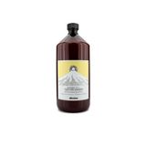 Davines Naturaltech Purifying Shampoo, 1000 ml, Kepek Karşı Bakım Şampuanı
