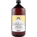 Davines Organic Davines Natural Tech Purifying Anti-Dandruff 1 lt Şampuan