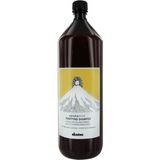 Davines Purifying For Oily Dry Hair Dandruff 1 lt Şampuan