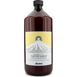 Davines Purifying Kepeğe Karşı Şampuan 1000 ml Kepekli Saçlar İçin Etkili Temizlik