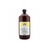 Davines Purifying Kepek Karşıtı Şampuan, 1000 ml