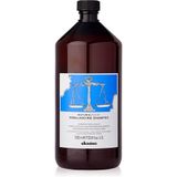 Davines Vegan Naturaltech Rebalancing Shampoo 1 lt Yağdan Arındırıcı Şampuan