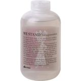 Davines We Stand Hair Body Wash Shampoo 250 ml Saç Vücut Şampuanı