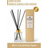 Dawn Bloom Mimoza Çubuklu Oda Kokusu 100 ml – Ferah ve Çiçeksi Uzun Süreli Koku Yayılımı - 1 Adet