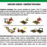 Day 100 Adet 10 Farklı Renk Vanda Orkide Tohumu + 10 Adet Hediye K.renk Buz Çiçeği Tohumu Orkıdey010256