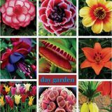 Day 100 Adet Karışık Sinek Kapan Bitki Tohumu + 10 Adet Hediye Starliçe Çiçek Tohumu Dtsıne0010061