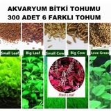 Day 300 Adet 6 Farklı Akvaryum Bitkisi Tohumu + 10 Adet Karışık Gül Tohumu (KARGO BEDAVA)