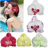 Day 50 Adet 10 Farklı Renk Vanda Orkide Tohumu + 10 Adet Hediye K.renk Buz Çiçeği Tohumu Orkıdey010311