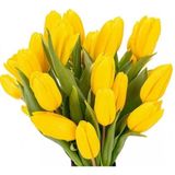 Day 50 Adet Sarı Renk Lale Çiçeği Tohumu + 10 Adet Hediye Hollanda Gülü Çiçek Tohumu Dtlale0000211