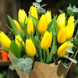 Day 50 Adet Sarı Renk Lale Cıcegı Tohumu + 10 Adet Hedıye Karısık Gul Cıcek Tohumu