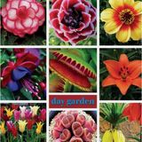Day 50 Adet Sinek Kapan Etobur Bitki Tohumu + 10 Adet Hediye Starliçe Çiçek Tohumu Sınekbıt04123