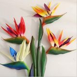 Day Garden 100 Adet Karısık Renk Cennetkusu Orkıde Cıcegı Tohumu + 10 Adet Hedıye Gul Cıcek