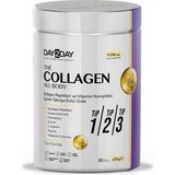 DAY2DAY The Collagen All Body Tip 1, 2 ve 3 (Tekli Paket) Kolajen Tozu 300 G