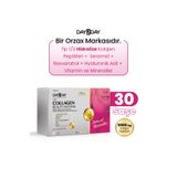 DAY2DAY The Collagen Beauty Intense Tip 1-3 Kolajen-Çilek Aroma-Seramid, C, B3, B5, B6, B12Vitamini, 30 Saşe