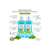 Daycare Alkolsüz Ağız Bakım Suyu 290 ml 2'li