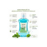 Daycare Alkolsüz Ağız Bakım Suyu 290 Ml
