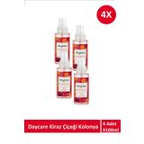 Daycare Kiraz Çiçeği Kolonyası 4 Adet X 100 ml
