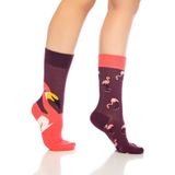 Dayco Premium Dikişsiz Unisex Flamingo Desenli Renkli Soket Çorap