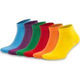 Dayco Premium Dikişsiz Unisex Renkli Patik Çorap 6Lı Asorti