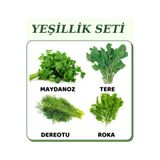 daysni Yeşillik Paketi- Maydanoz, Tere,dereotu,roka
