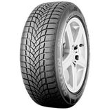 Dayton 205/50 R17 93V XL DW510 Evo Kış Lastiği 2019