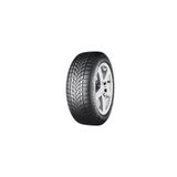 Dayton 205/50 R17 93V XL DW510 Evo Kış Lastiği 2025