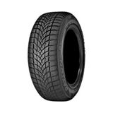 Dayton 205/50R17 93V XL Dw510E Kış Lastiği 2026
