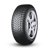 Dayton 205/50R17 DW510E 93V XL Kış Lastiği