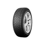 Dayton Dw510 Evo 205/55 R16 91H Kış Lastiği - 2025