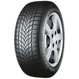 Dayton Dw510 Evo 205/55 R16 91H Kış Lastiği - 2026