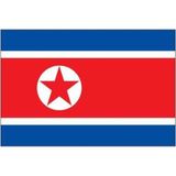d&d Plus Kuzey Kore Gönder Bayrağı 150 x 225 cm