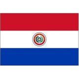 d&d Plus Paraguay Gönder Bayrağı 70 x 105 cm