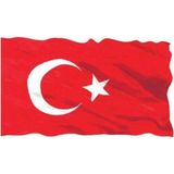 d&d Plus Türk Bayrağı 1.sınıf Parlak Raşhel Kumaş 2x3 Metre 200X300