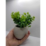 Ddpest Bej Saksı Şimşir Yapay Çiçek Bitki Gerçek Taş Yosunlu 18 Cm Dekoratif Masa Raf Çiçeği No:1-Ds