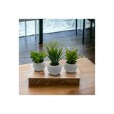 DDPEST Mini Beton Saksı 3'lü Set Gerçek Yosunlu Yapay Çiçek Aranjman Hediyelik Paket Saksı