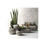 Ddtrend Dekoratif 5 Parça Modern Mercan Saksı Seti Hobi Bahçe Kaktüs Ve Sukulent Bitki Saksısı