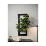 DDTREND Dekoratif Ledli Ahşap Duvar Saksısı Ve Gerçek Ağaç Dalı İle Yapay Çiçek Bonsai 25x25X60 Cm